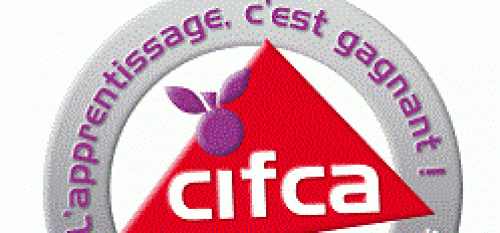 Job Dating au Cifca