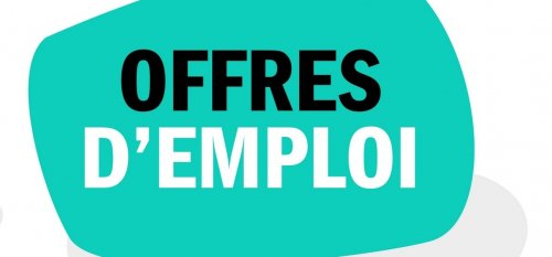 LES OFFRES D'EMPLOI