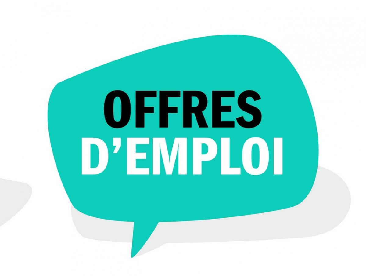 LES OFFRES D'EMPLOI