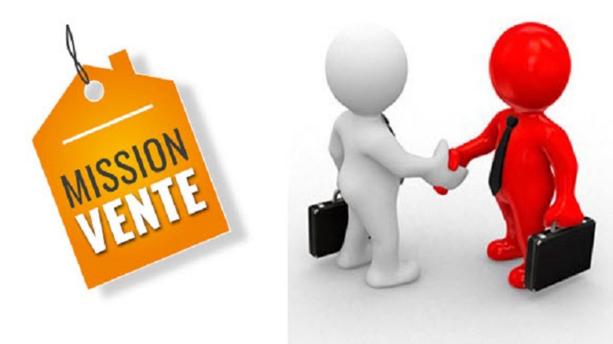 FORMATION Négociateur Technico-Commercial / Conseiller vente